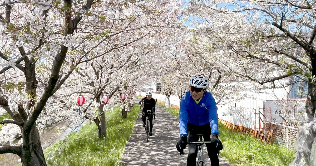 2026.4.8（水）サクライド（春のお花見サイクリング）いってきました 