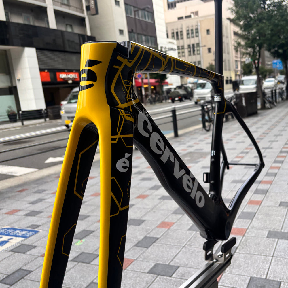 CERVELO (サーベロ) S5 2025 ロード フレームセット TVLABレプリカ