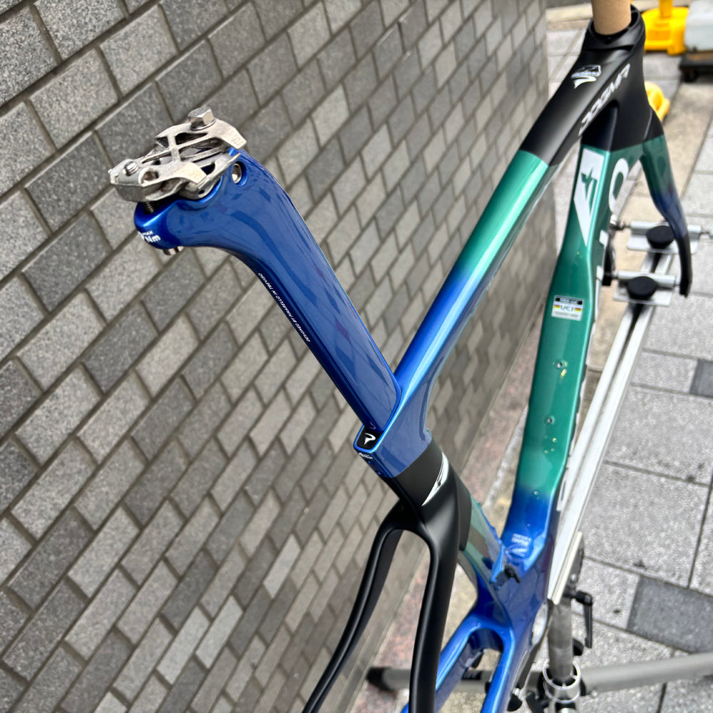 DOGMA F(2024)