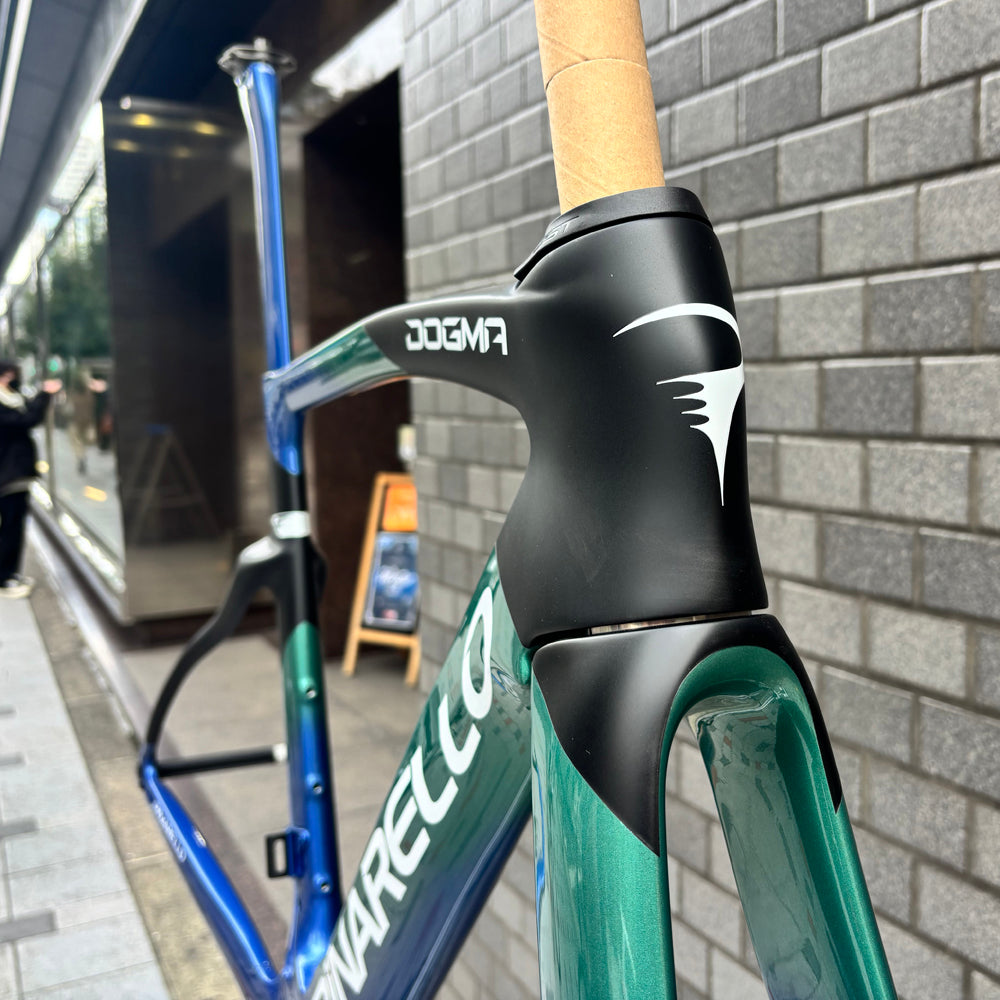 DOGMA F(2024)