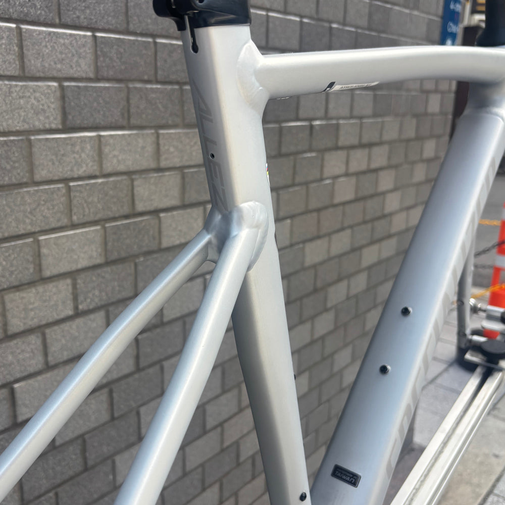 SPECIALIZED ALLEZ SPRINT FRAMESET