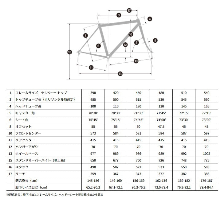 BRIDGESTONE ANCHOR RL8D 2024 105 12S