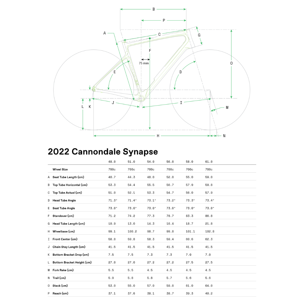 cannondale Synapse Carbon LTD RLE
