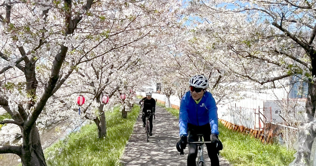 2026.4.8（水）サクライド（春のお花見サイクリング）いってきました🌸
