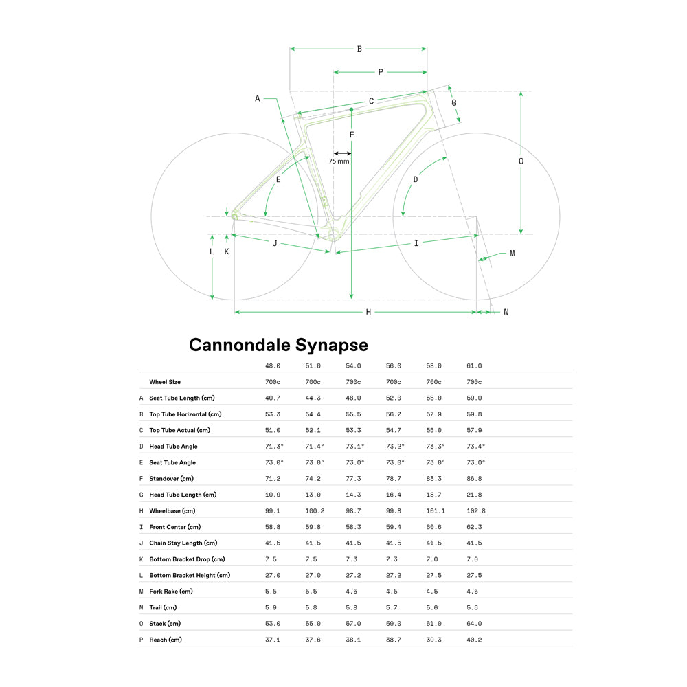 cannondale Synapse Carbon 2 RLE