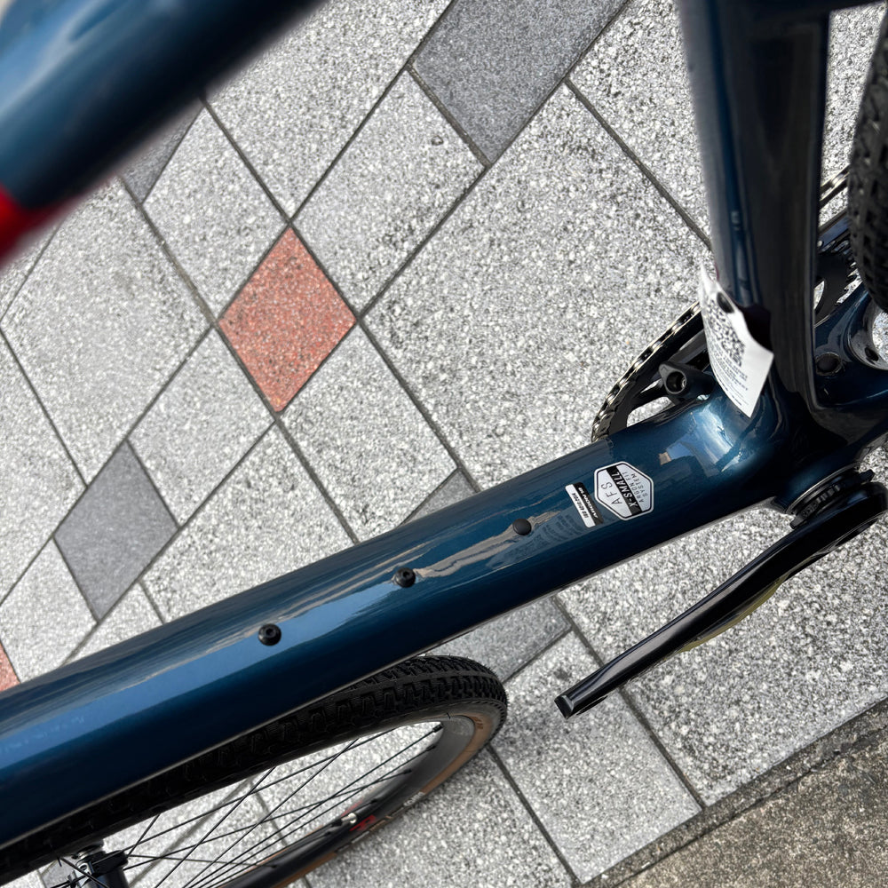 ARGON18 DARK MATTER　ベックオンオリジナル完成車