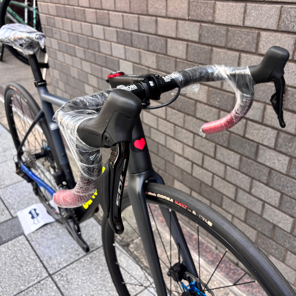 DE ROSA 838　ベックオンオリジナル完成車