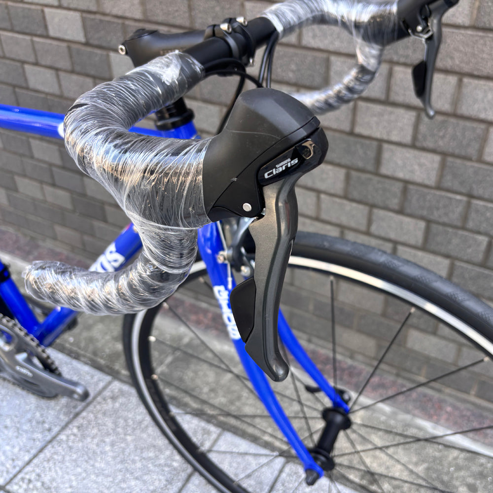 GIOS FENICE
