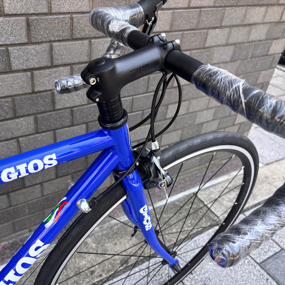 GIOS FENICE
