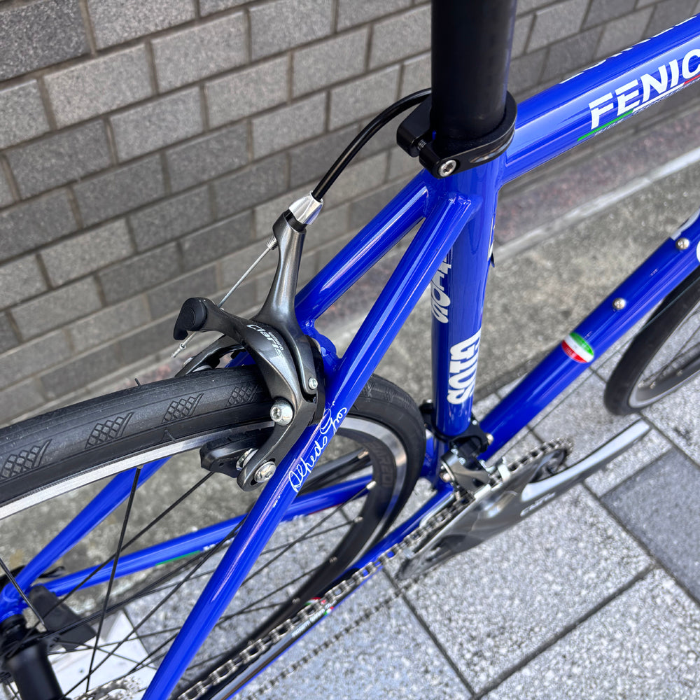 GIOS FENICE