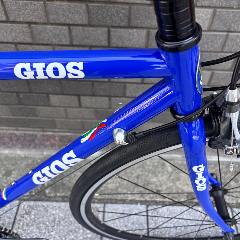 GIOS FENICE