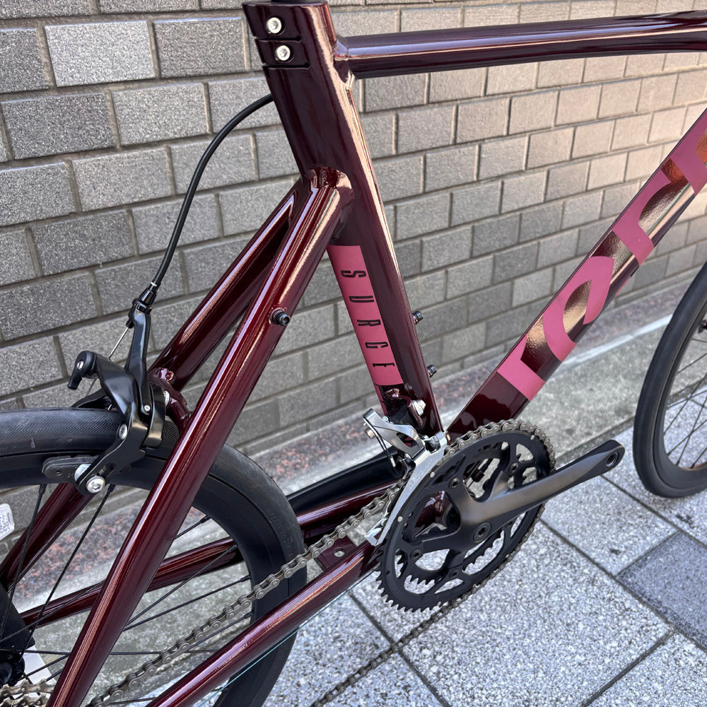 TERN SURGE – スポーツサイクルショップベックオン