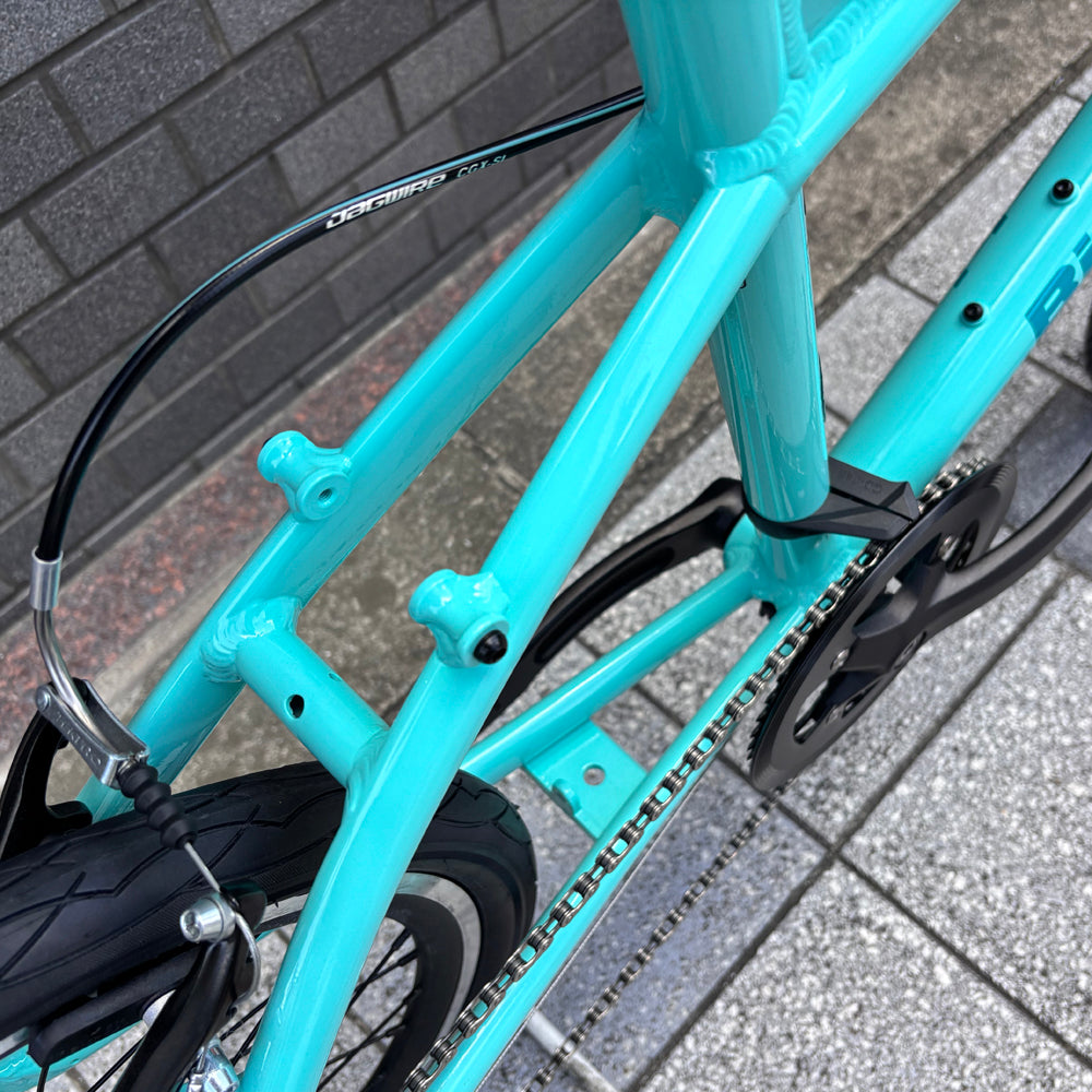 BIANCHI LECCO