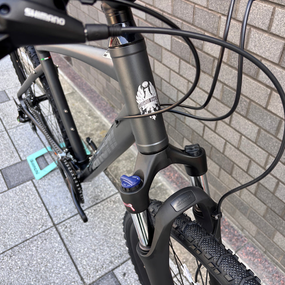 BIANCHI C-SPORT CROSS