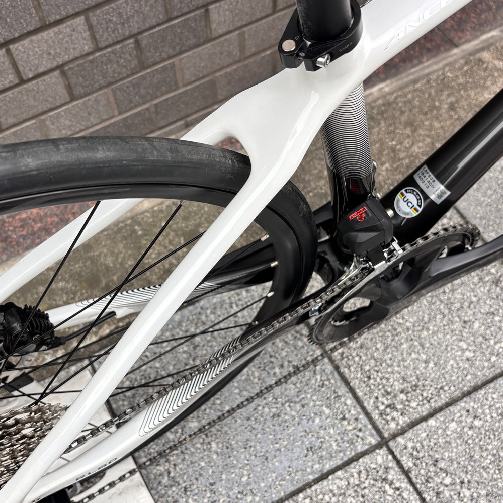 BRIDGESTONE ANCHOR RL8D　ベックオンオリジナル完成車