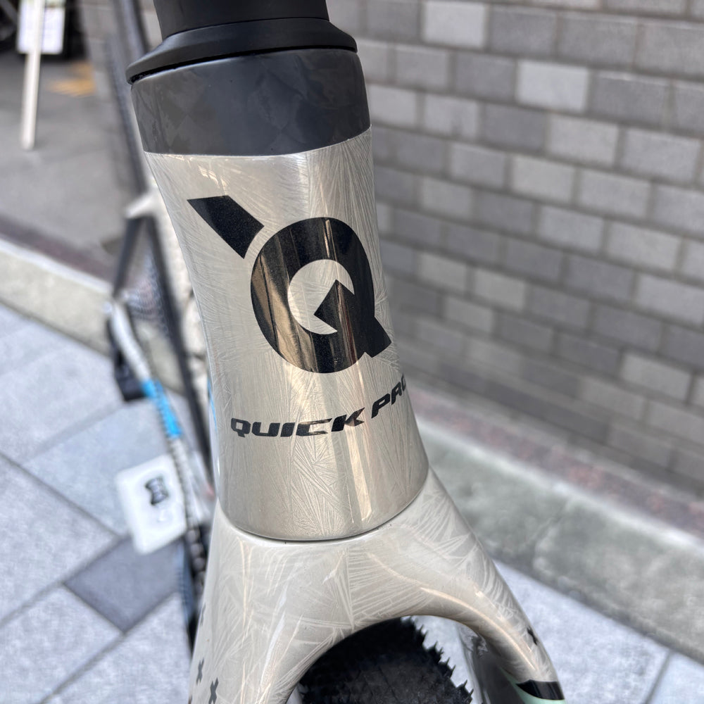 QUICK PRO  GR:ONE RIVAL AXS 1x13s