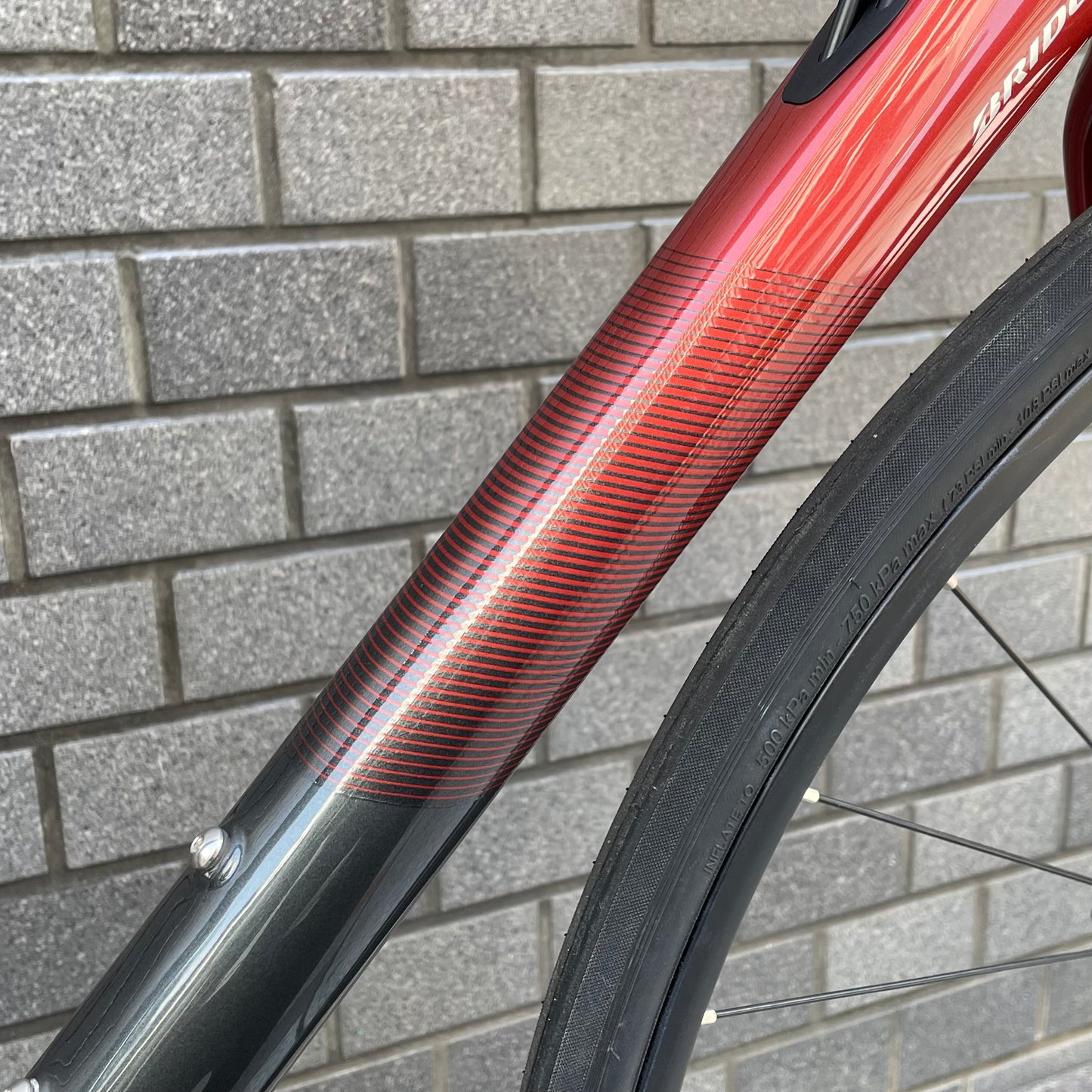 BRIDGESTONE ANCHOR RL8D　2022　105 11S