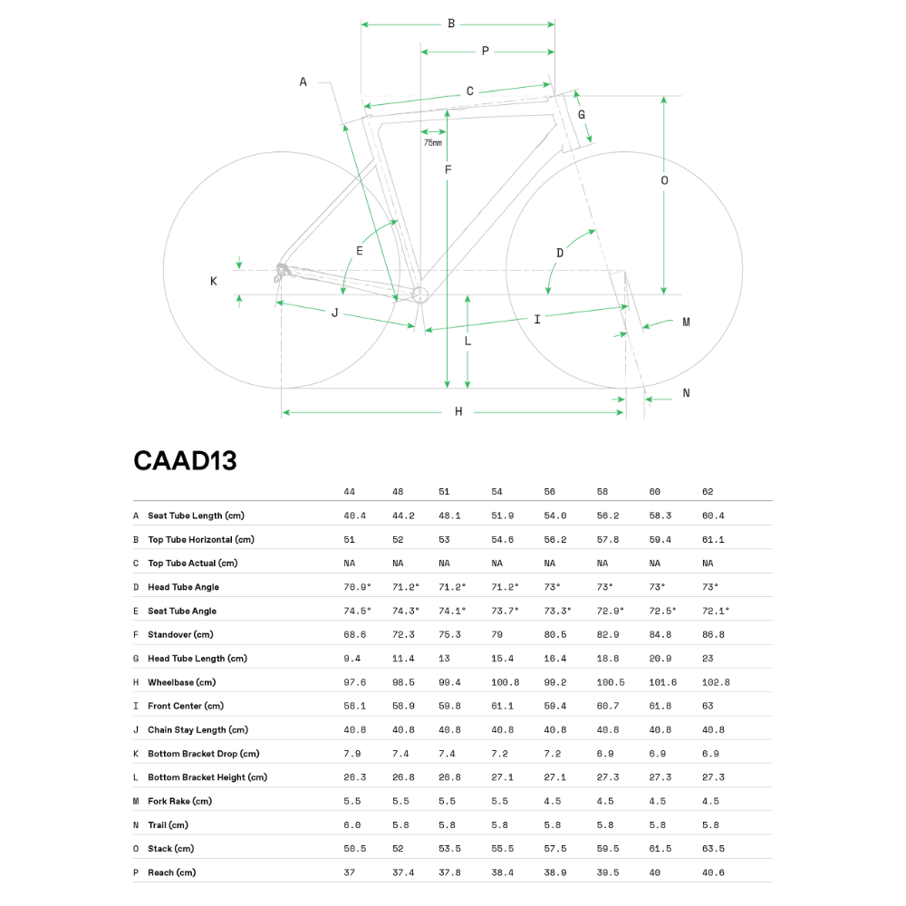 cannondale CAAD13 Disc Tiagra